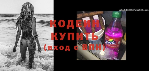 дурь Лабытнанги