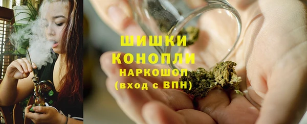 крисы Лагань