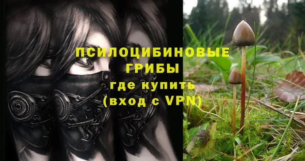 кристаллы Липки