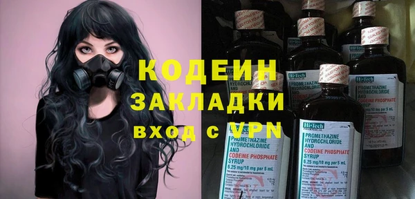 крисы Лагань