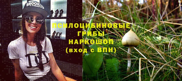 ECSTASY Зеленокумск